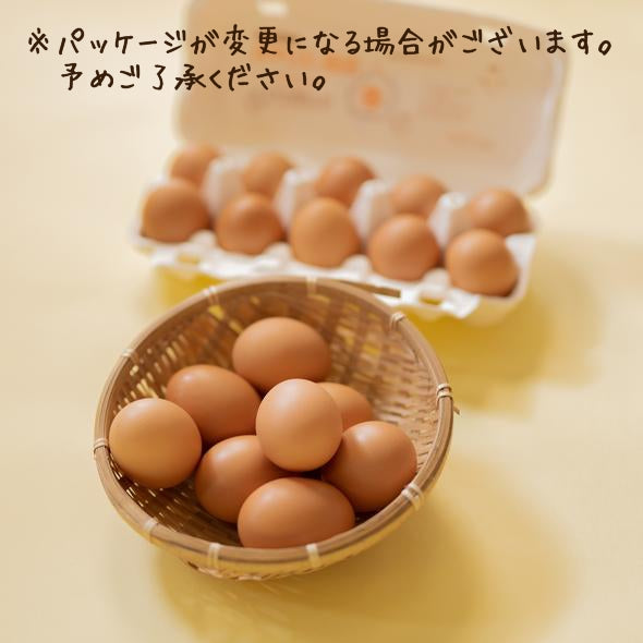 【ファームから直送】まなたまご 40個セット【※送料込】