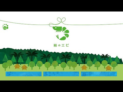 【ギフト】結のエビ　むきエビ 500g