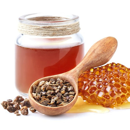 【ギフト】プロハーブセット